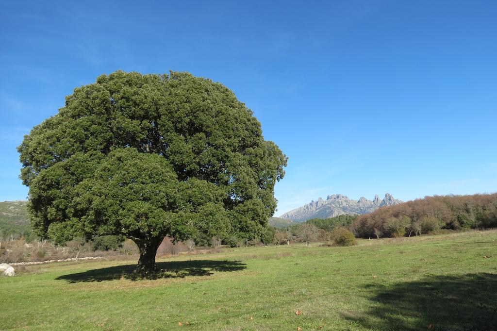 Отель Sole E Monti Куэнца Экстерьер фото